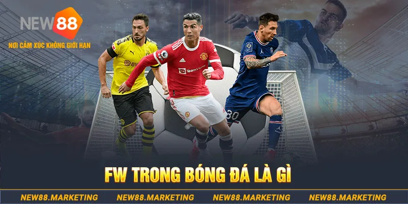 mcw678 slot tiếng anh la gì