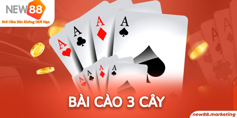 mcw678 long bảo trong baccarat là gì