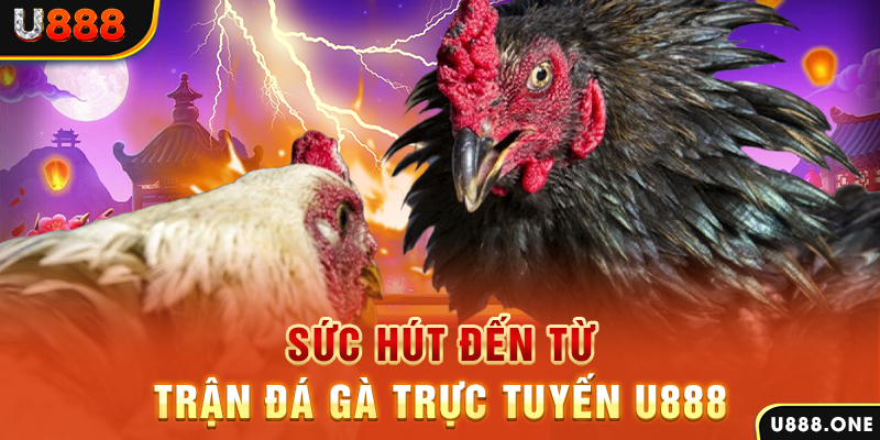 mcw678 đá gà trực tiếp c1