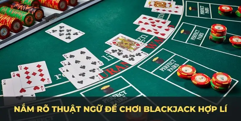mcw678 c1 gà chọi