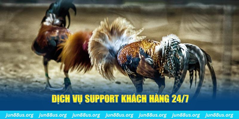 mcw678 ÁT CHỦ BÀI GIÀNH LẤY ZHUANG NIUNIU ( XEM 4 LÁ )