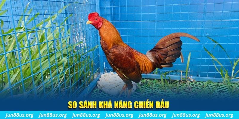 mcw678 CQ9 Điện Tử