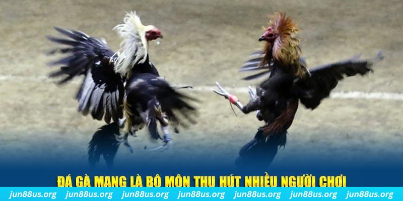 mcw678 bắn cá au88