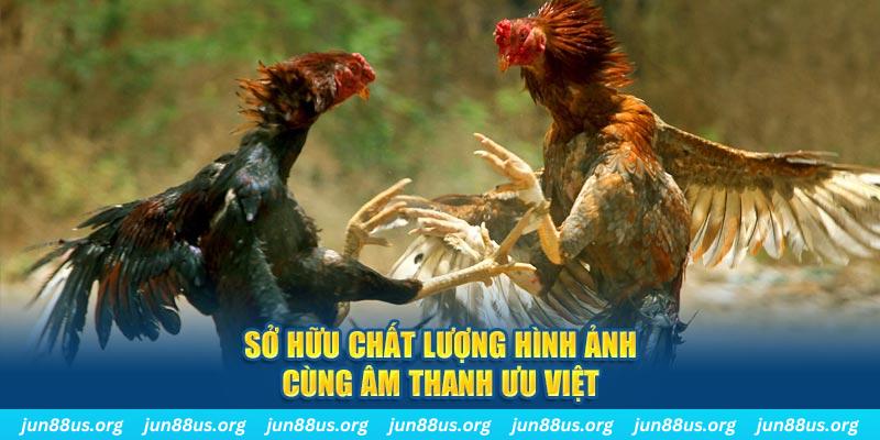 mcw678 PP Điện Tử