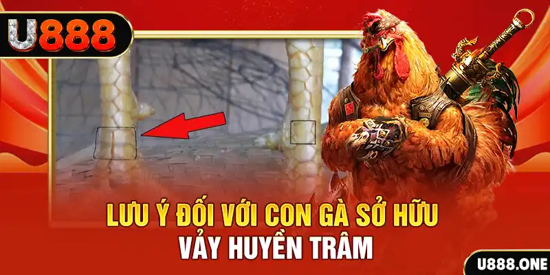 mcw678 kết quả xổ số miền nam hôm nay