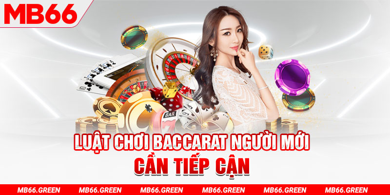 mcw678 choi ga c1