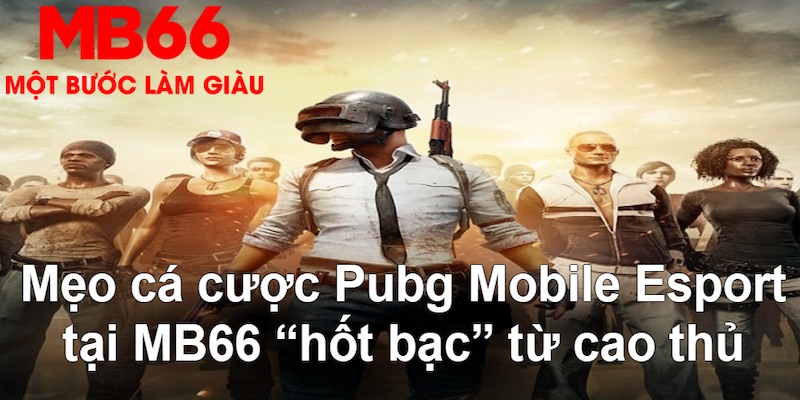 mcw678 VA Bắn cá