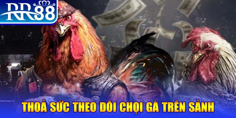 mcw678 trực tiếp đá gà c1