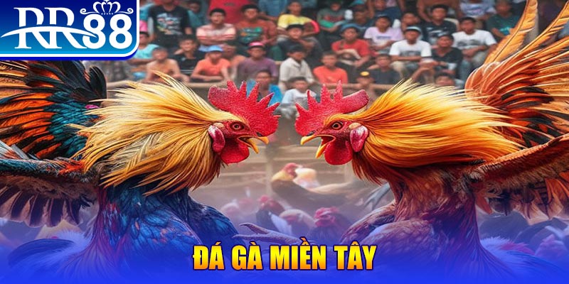 mcw678 no hu doi thuong ai