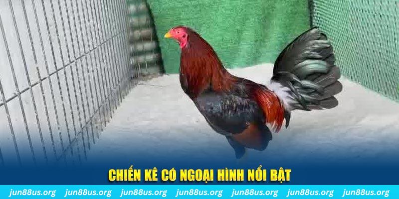 mcw678 game nổ hũ là gì