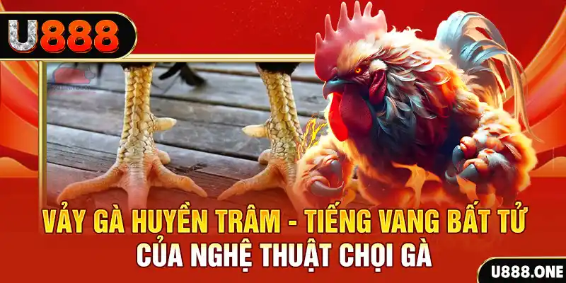 mcw678 xổ số miền bắc ngày hôm nay